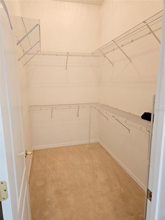 Building Photo - 920 Onager Ct