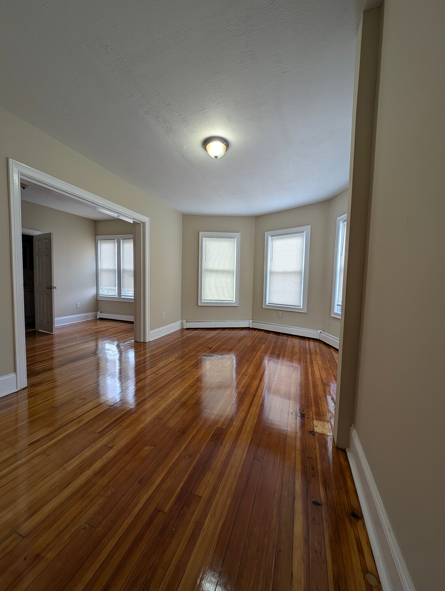 Living room - 38 Williams St