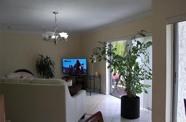 Building Photo - 8149 Lagos De Campo Blvd