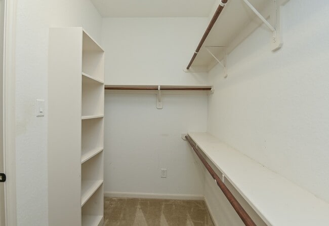 Building Photo - 6026 Baileys Run Ln