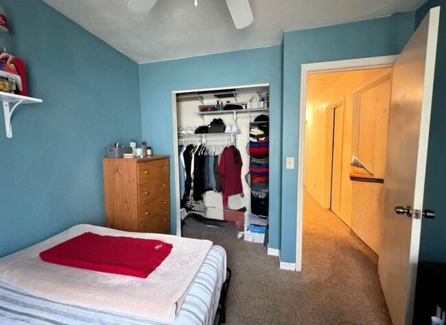 Building Photo - Spacious Townhouse in Blacksburg, VA.