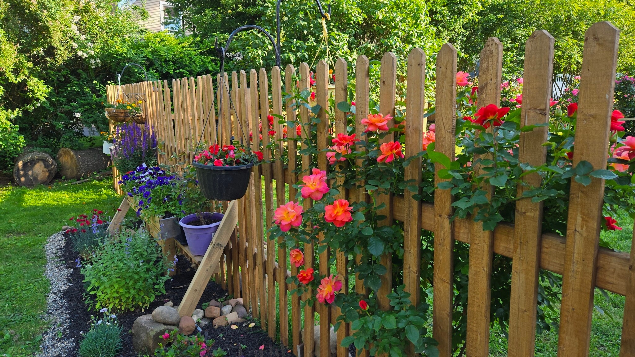 Fenced in Backyard (Flower Garden) - 557 Park Rd