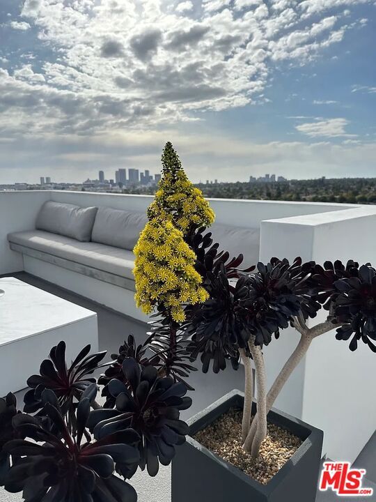 Building Photo - 838 N Doheny Dr