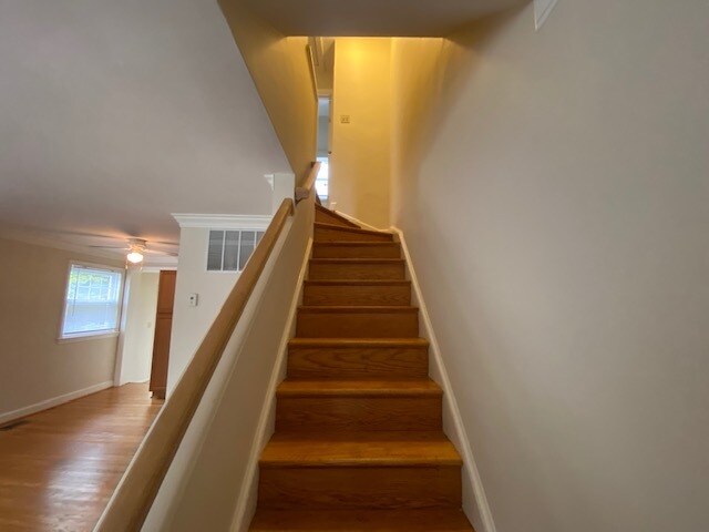 Building Photo - 631 N Nelson St