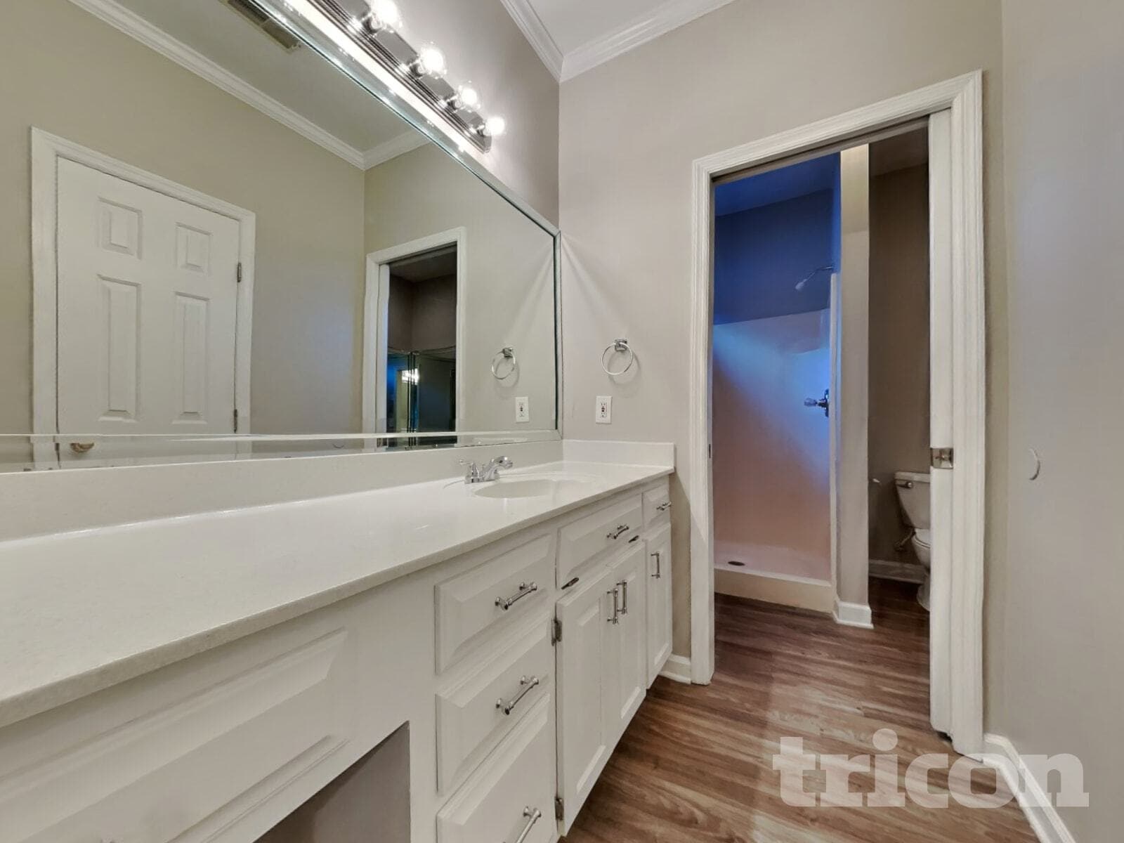 Building Photo - 203 Manor View Ct