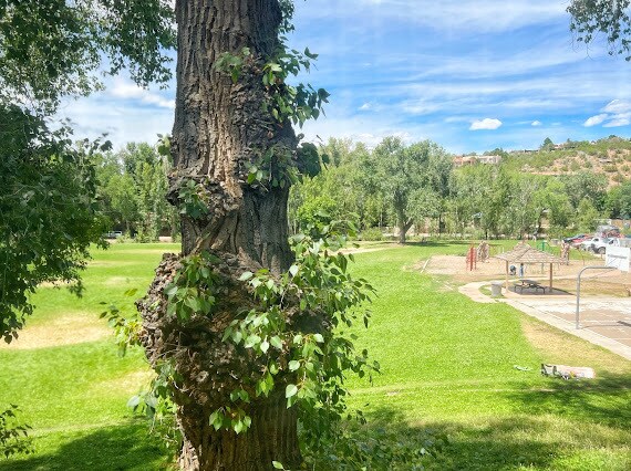 Building Photo - 1027 Canyon Rd