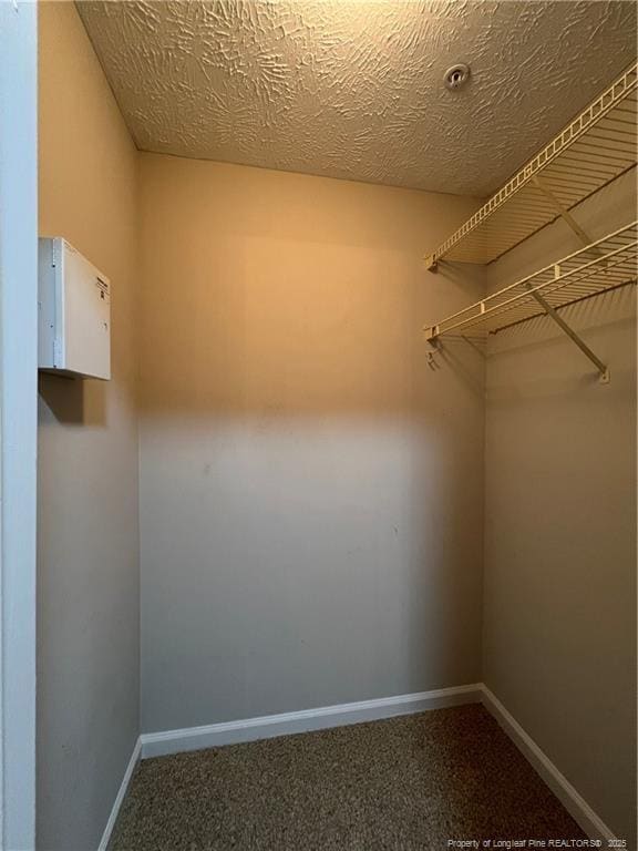 Building Photo - 340 Bubble Creek Ct