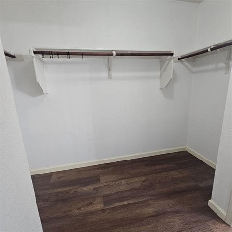 Building Photo - 12624 Ocean Spray Dr