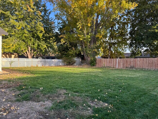 Building Photo - 903 Sunny Ln