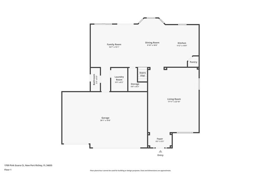 Building Photo - 1709 Pink Guara Ct