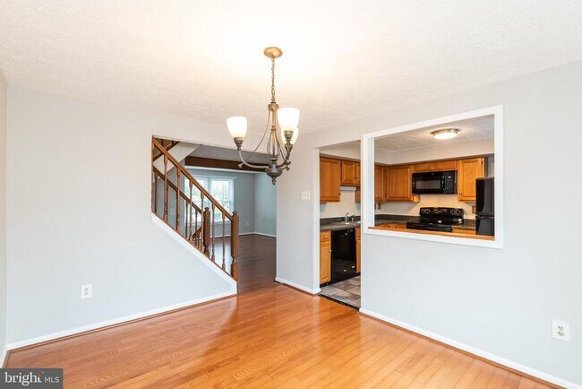 Building Photo - 3348 Raccoon Ct