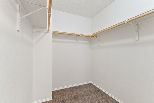 Building Photo - 4013 Southbrook Ct