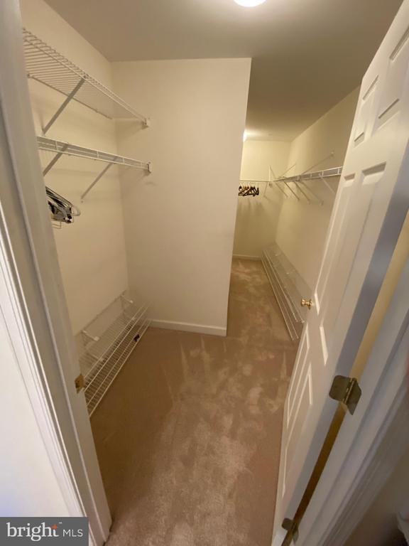Building Photo - 28498 Sawgrass Ct