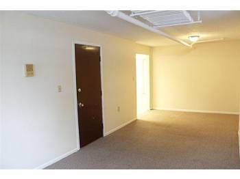 Building Photo - 2BR/1BA Apartment - Cleveland Heights