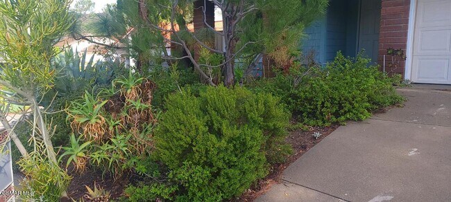 Building Photo - 3050 Wildwood Ave