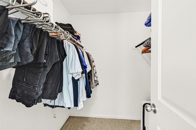 Building Photo - 318 Maple Bark Trl