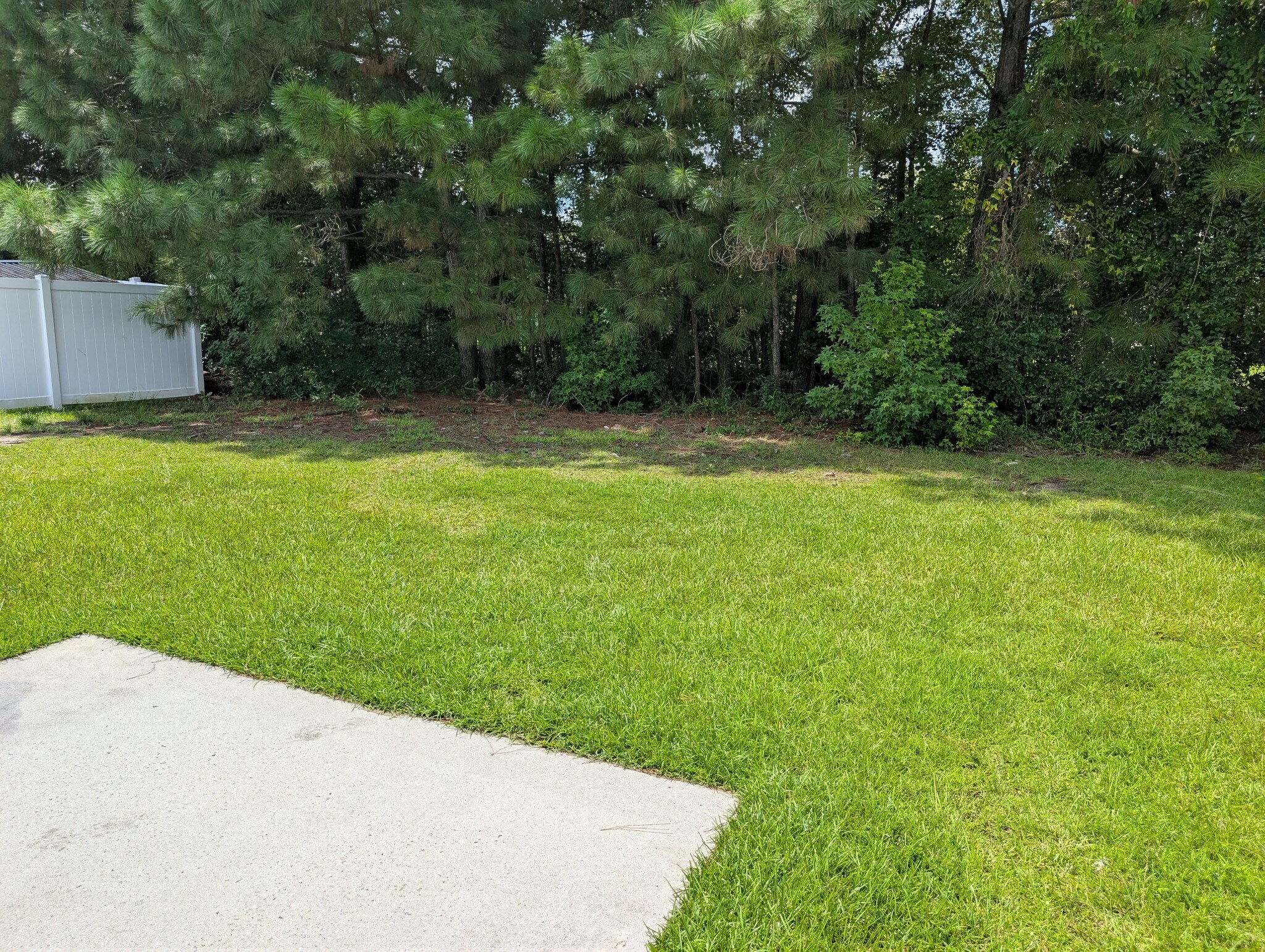 Building Photo - 148 Junco Cir
