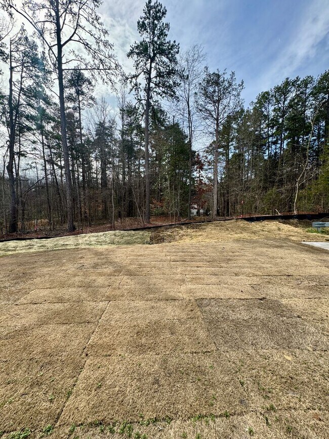 Building Photo - 4BR/2.5BA Two Car Garage in Element Park