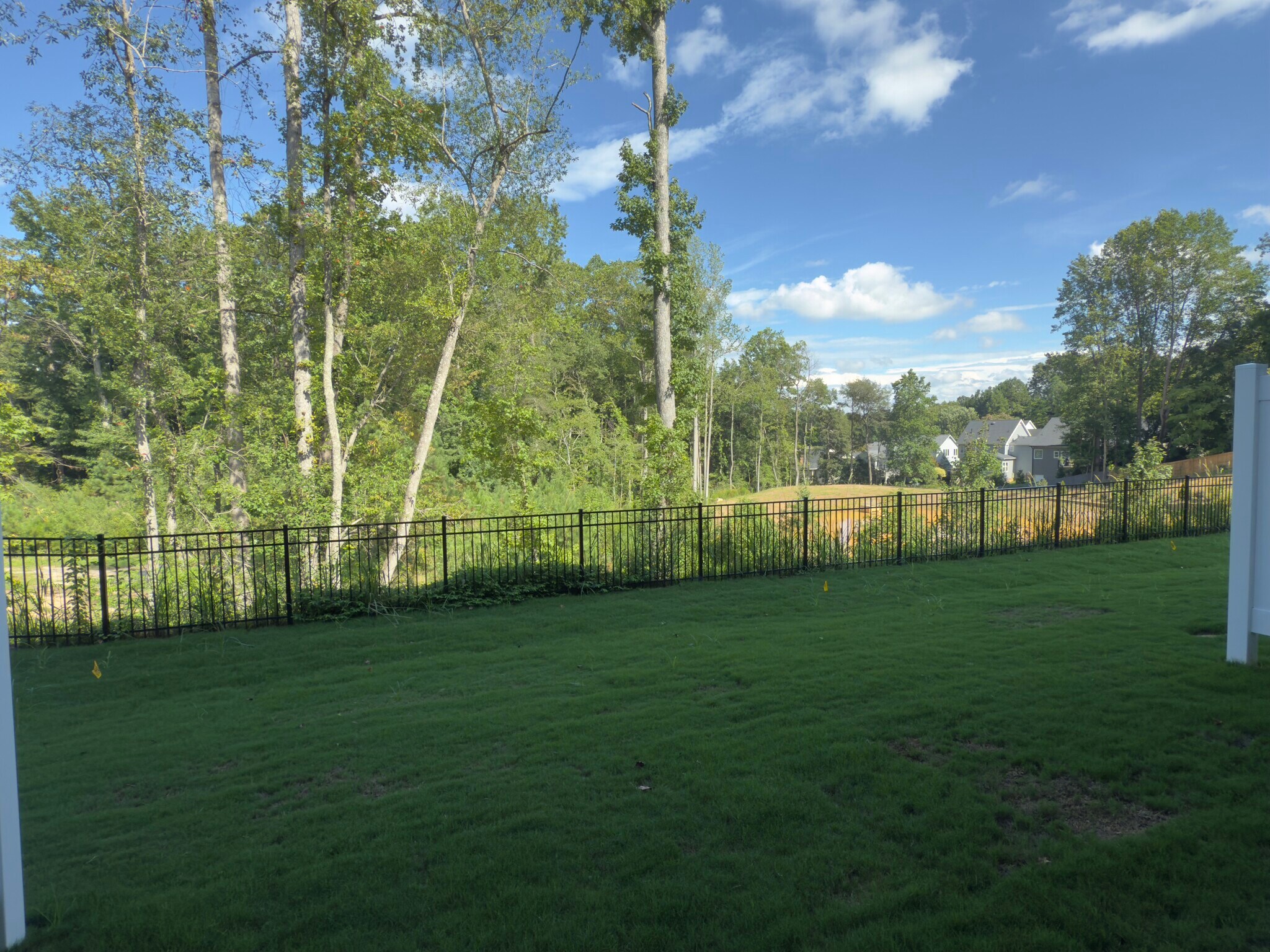 Back yard with private tree line buffer - 10536 Pleasant Br Dr