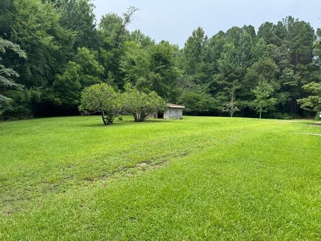 Building Photo - Beautiful private oasis located in Pamlico County
