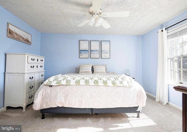 Building Photo - 133 Spruce Woods Ct