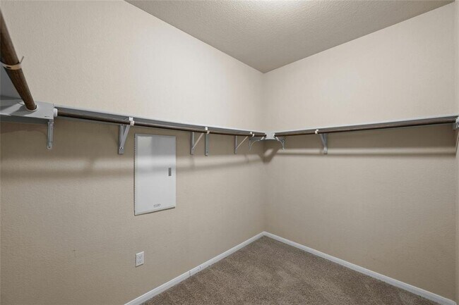 Building Photo - 135 Cibolo Creek Dr