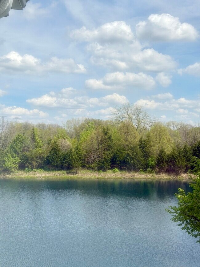 Building Photo - 1580 McClure Rd