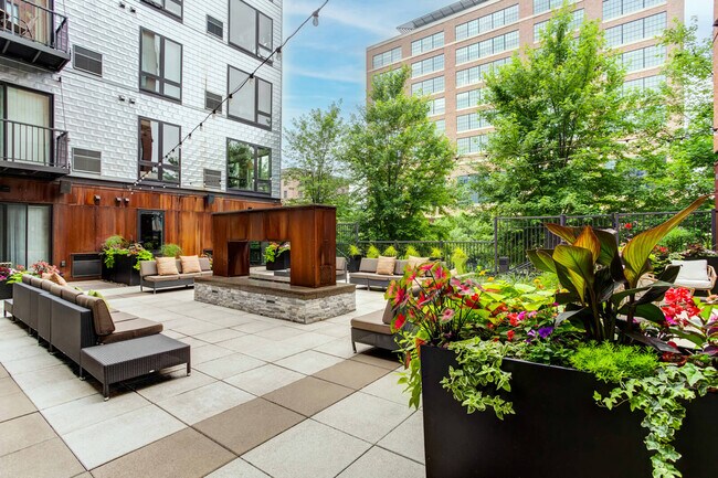 Building Photo - Dock Street Flats