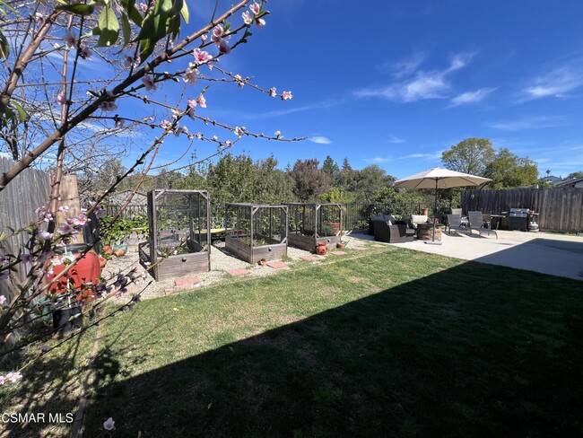 Building Photo - 545 Shenandoah St