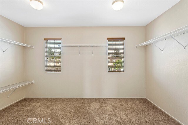 Building Photo - 8061 Palm View Ln