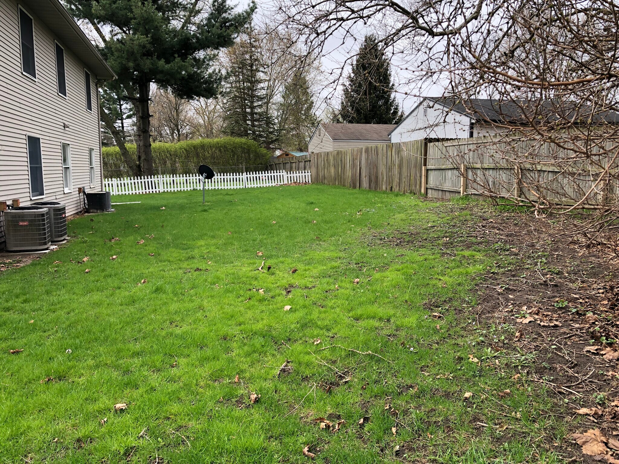 Backyard - 615 N Washington St