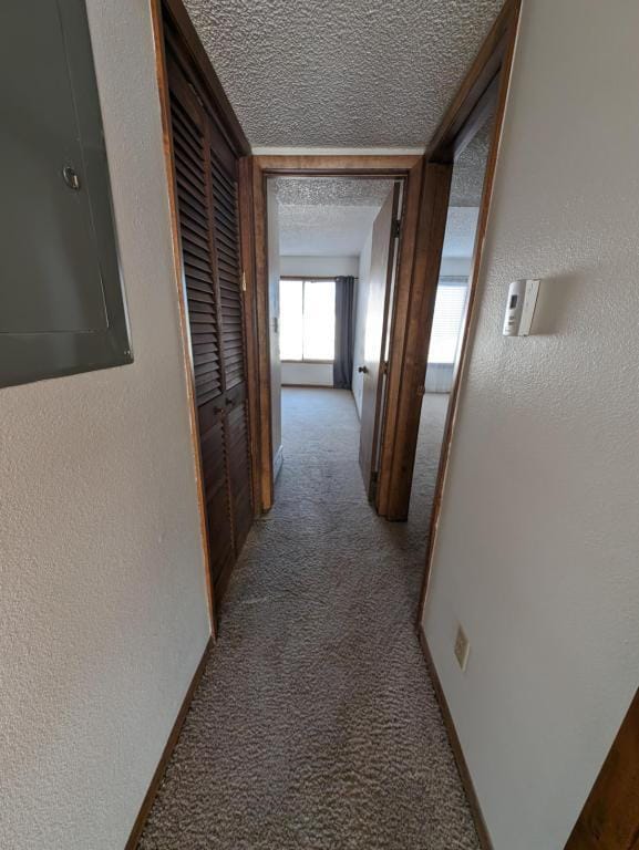 Building Photo - 603 Park St