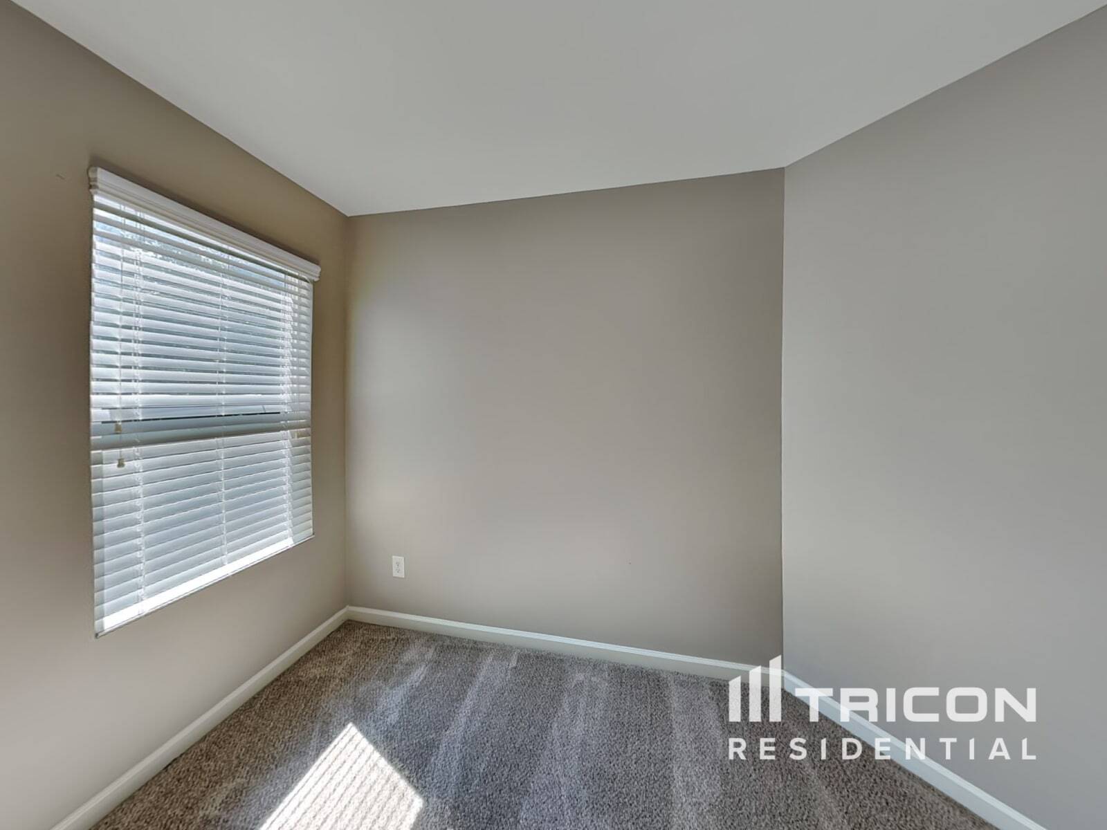 Building Photo - 4912 Magnasco Ln