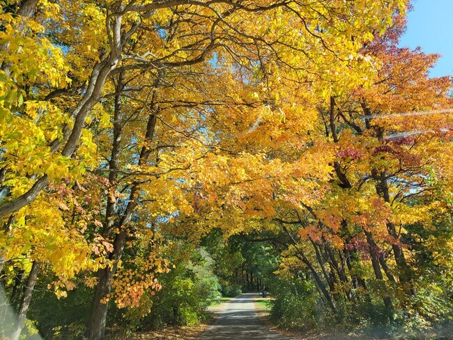 North Shore Drive Fall View - 5207 N Shore Dr