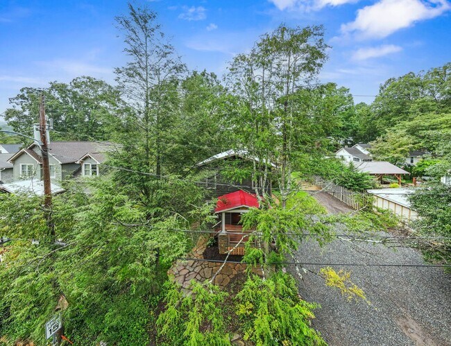 Building Photo - Charming Black Mountain Rental!
