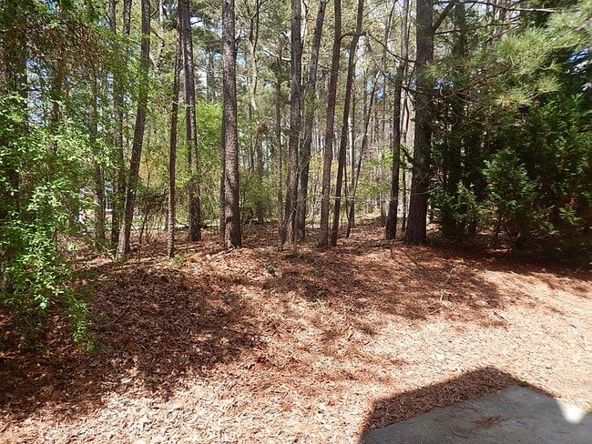 Building Photo - 211 Bridgepath Dr