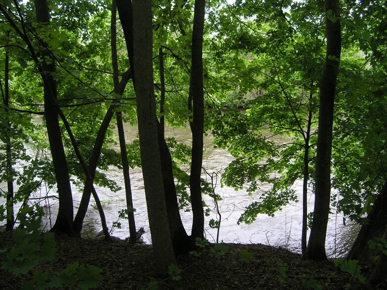 Huron River as viewed from back yard - 416 N Huron St