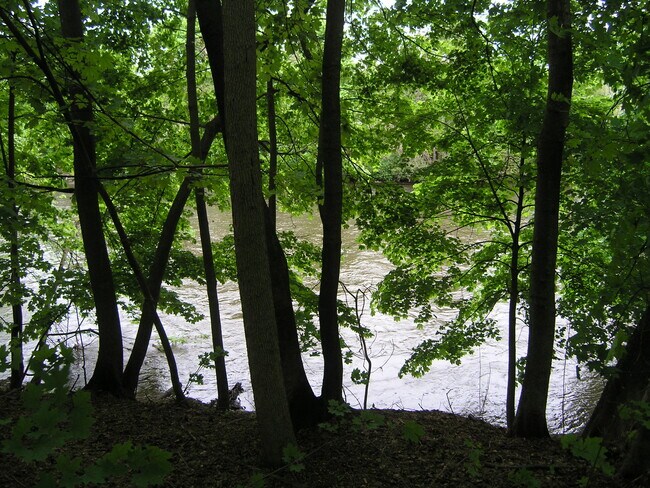 Huron River as viewed from back yard - 416 N Huron St