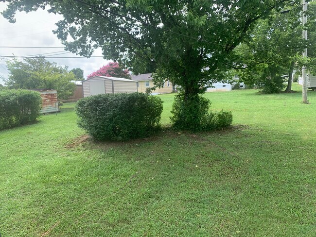 Backyard - 908 Beale St
