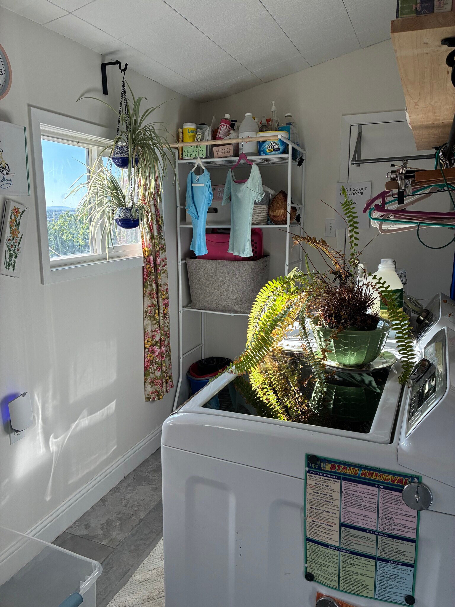 laundry room - 413 N Center St