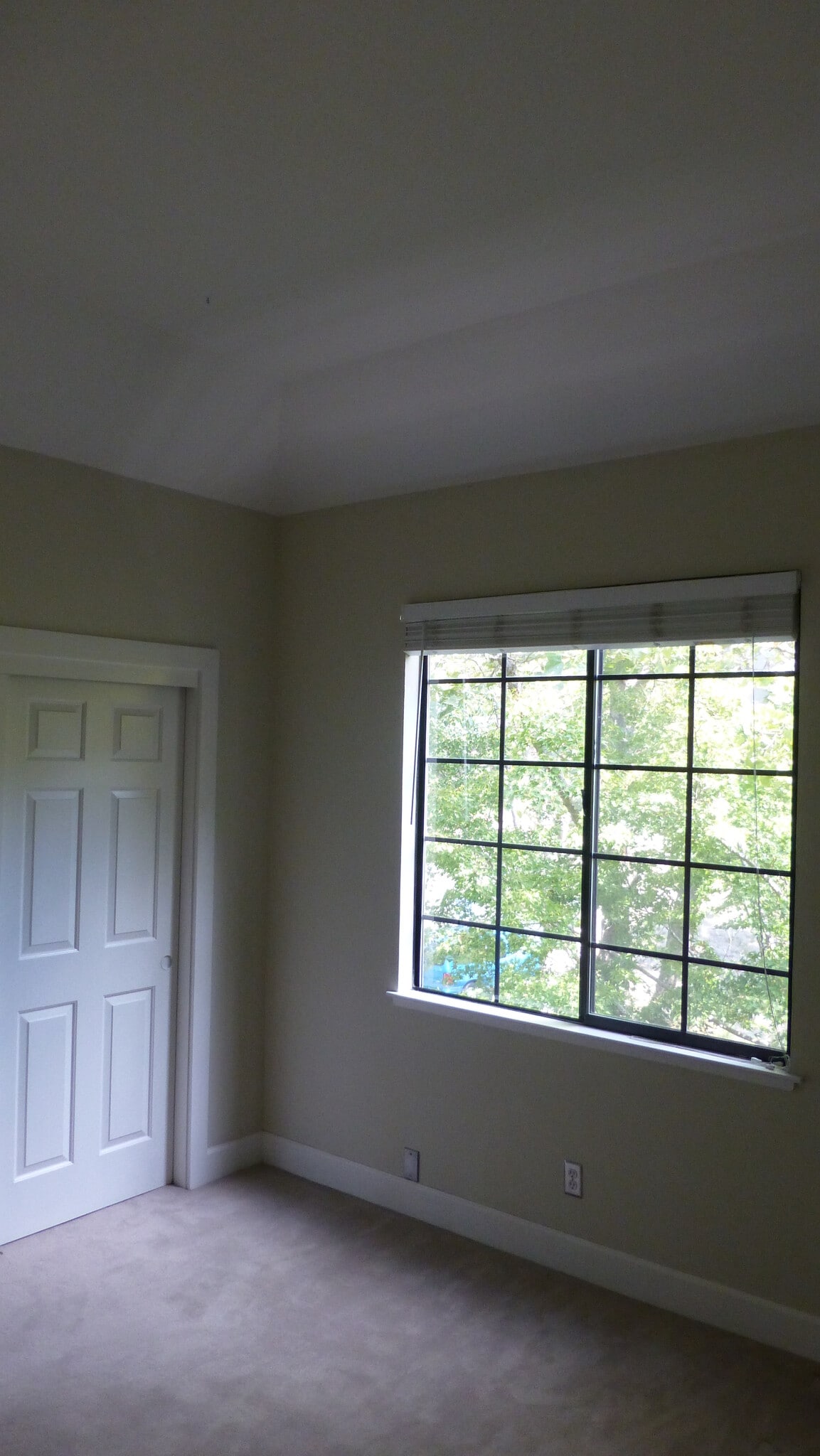 Building Photo - 206 Canyon Woods Way