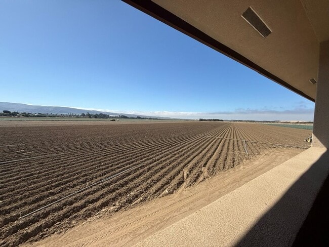 Building Photo - Free Month of Rent for Move in before Dec 1st - Brand New 2 Bedroom Apartment in Guadalupe