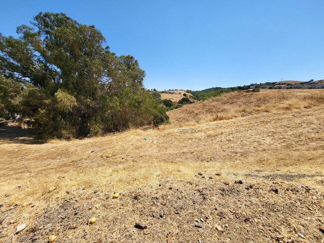 Building Photo - Two Story Home nestled in the Hills of Her...