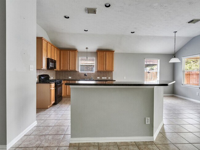 Building Photo - 18011 Outback Lakes Tr