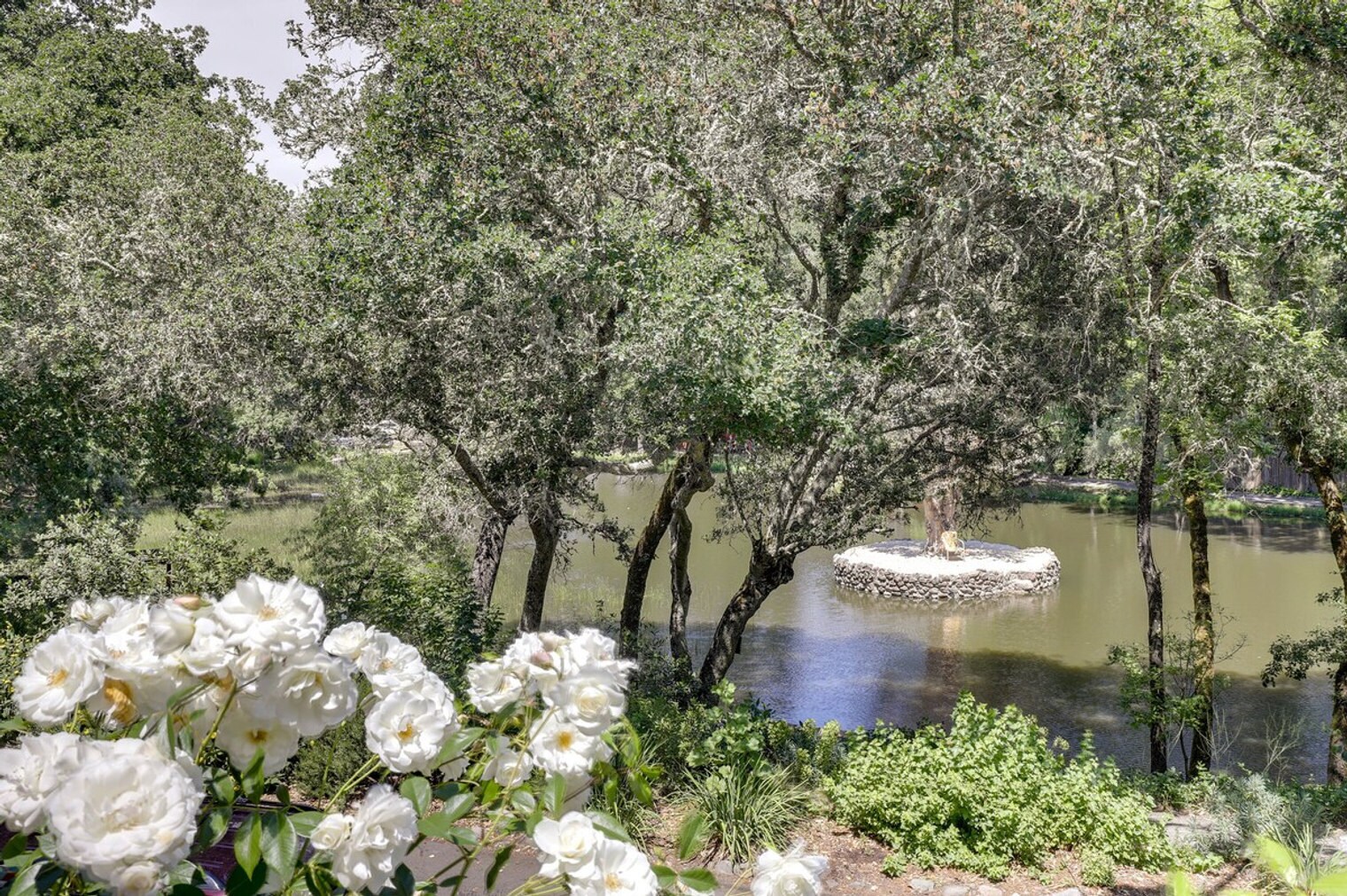 Building Photo - 4460 Lakeside Rd