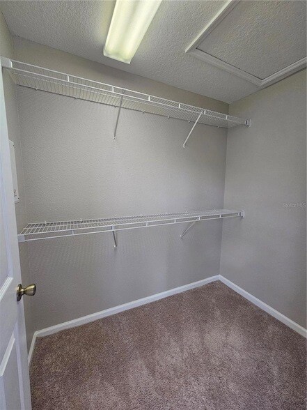 Building Photo - 2605 Galliano Cir