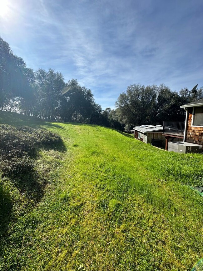 Building Photo - Beautiful home with lots of Land in Grass ...