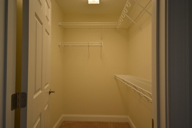 Building Photo - Luxury Paired Home