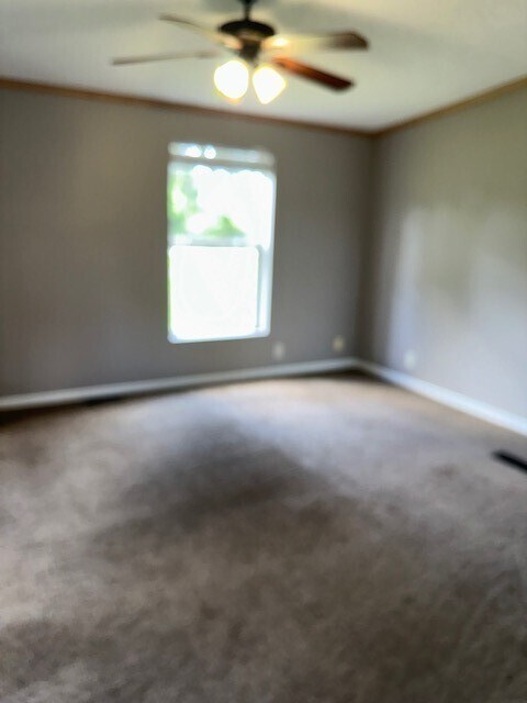 Building Photo - 4828 County Rd 392