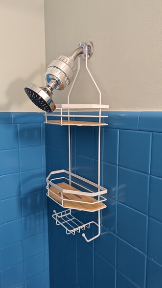 Filtered shower head - 1118 Peachtree St